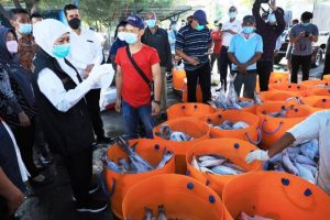 Gubernur Khofifah Tinjau Proses Bongkar Muat Ikan di Mayangan Probolinggo