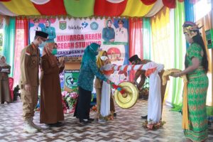 Pemkab Tanbu Canangkan Posyandu Holistik Integratif