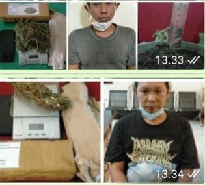 Simpan Ganja, Warga Mojorota Kota Kediri Diringkus Polisi