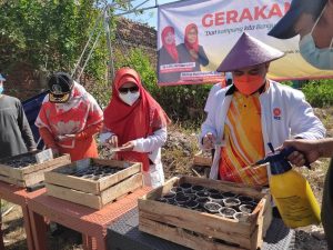 Tingkatkan Ketahanan Pangan, PKS Surabaya Launching Gerakan Kampung Bersih, Sehat dan Hijau