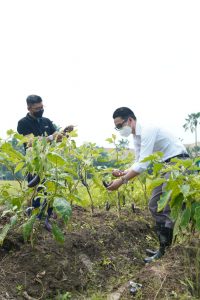 The Westin Surabaya Bagikan Paket Makanan Bernutrisi Untuk Nakes Dan Pasien Di Asrama Haji Surabaya Dari Chef’s Garden