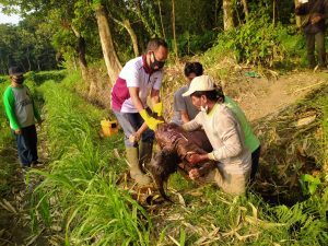 Nenek 69 Tahun Ditemukan Meninggal di Saluran Irigasi