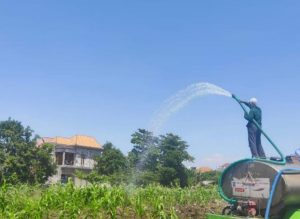 Masa Pandemi, Pemkot Surabaya Terus Manfaatkan Lahan BTKD untuk Perkuat Ketahanan Pangan