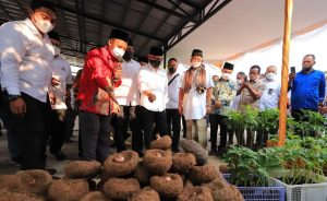 OJK Dorong Pengembangan UMKM Dan Vaksinasi Di Daerah