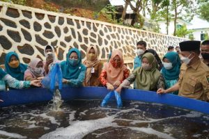 Manfaatkan Kolam Bioflok, Dinas Perikanan Tanbu Tebar Ribuan Bibit Ikan