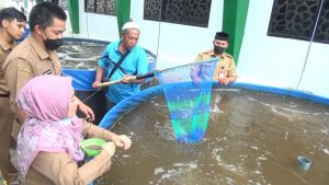 Budidayakan Ikan Nila, Dinas Perikanan Tanbu Gunakan Sistem Bioflok