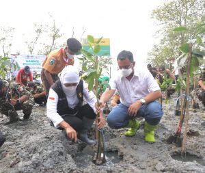 Tahan Laju Perubahan Iklim, Gubernur Khofifah Kebut Restorasi Mangrove