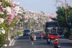 Ini Inovasi Pemkot Surabaya dalam Meningkatkan Kualitas Udara hingga Raih Penghargaan