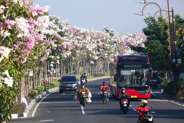 Ini Inovasi Pemkot Surabaya dalam Meningkatkan Kualitas Udara hingga Raih Penghargaan