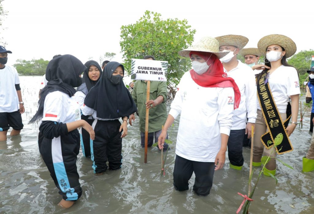 Jawa Timur Kejar Target 34 Ribu Hektare Restorasi Mangrove