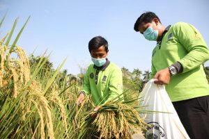 Tingkatkan Kesejahteraan, Pemkot Surabaya Berdayakan Nelayan Jadi Petani
