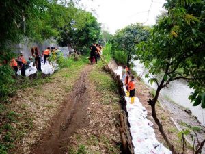 Wujudkan Desa Tangguh Bencana, BPBD Kota Kediri Beri Edukasi Warga di Giat Penebalan Tanggul Sungai Kali Kedak