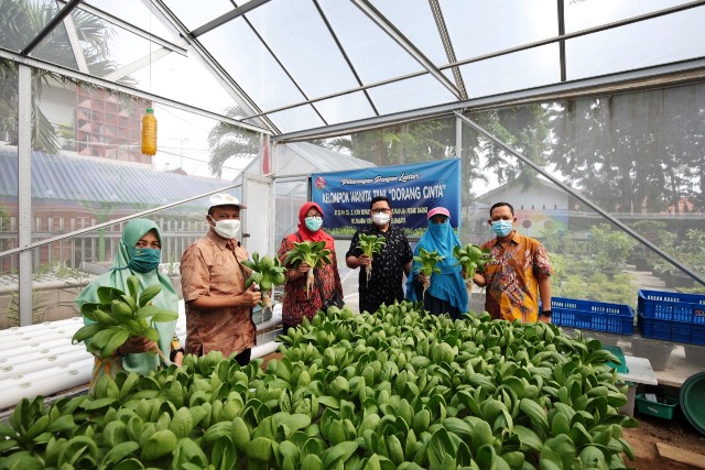 Panen Sayur Hidroponik di Kampung Juara Proklim KLHK