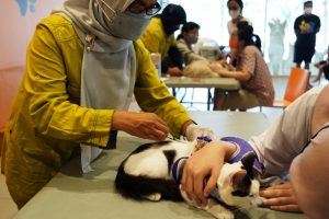 Pet Kingdom Wujudkan Kepedulian Bagi Hewan Peliharaan Melalui Care For Paw