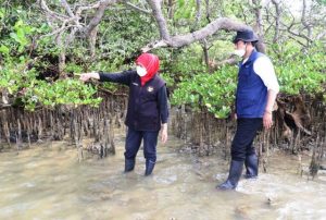 Percepat Pengurangan Emisi Karbon Gas Kaca, Gubernur Khofifah Tanam Mangrove di Pantai Pengkolan Lamongan