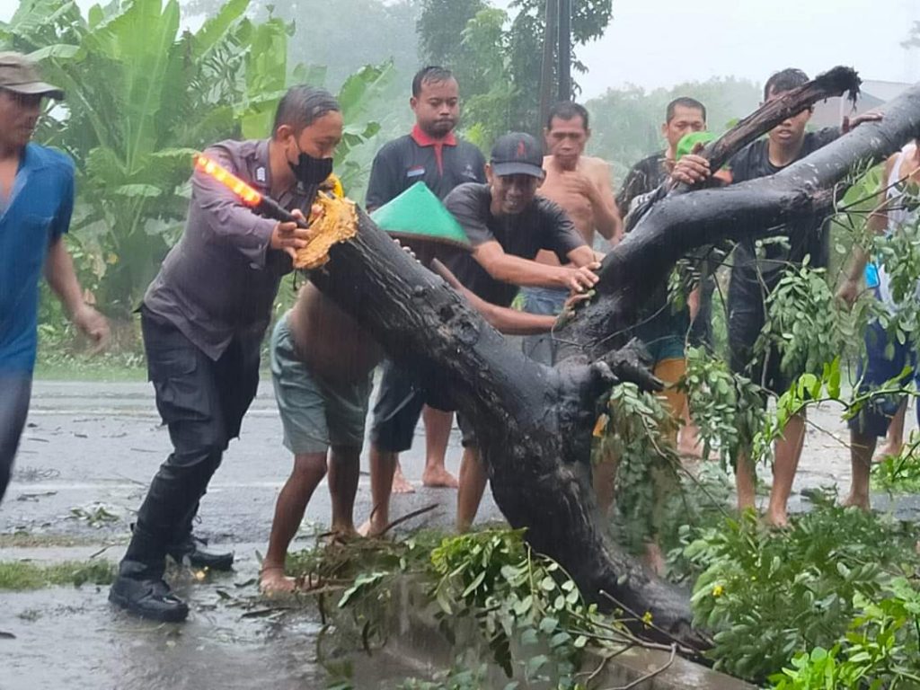 Dibantu Warga, Anggota Polsek Purwosari Polres Kediri Evakuasi Pohon Tumbang di Jalan Raya Kertosono