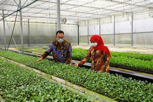 MoU dengan Institut Pertanian Bogor, Gubernur Khofifah: Upaya Penguatan One Village One CEO di Jawa Timur