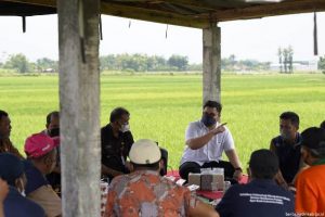 Tekan Biaya Produksi Pertanian, Bupati Kediri Ajak Petani Beralih ke Jenis Organik