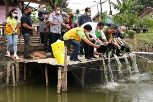 Manfaatkan Bozem, Pemkot Surabaya Tebar 7000 Benih Ikan Nila