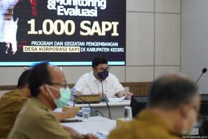 Kembangkan Program Sapi Bantuan di Kabupaten Kediri, Bupati Mas Dhito Bangun Kerjasama Lintas Sektor