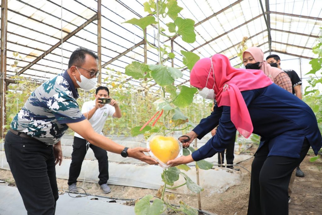 Gubernur Khofifah Kunjungi UPT Pengembangan Agribisnis Tanaman Pangan dan Hortikultura