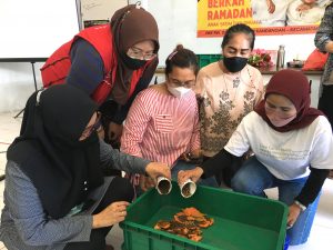 Kurangi Volume Sampah, Kader Surabaya Hebat Dilatih Pengolahan Sampah Organik melalui Maggot