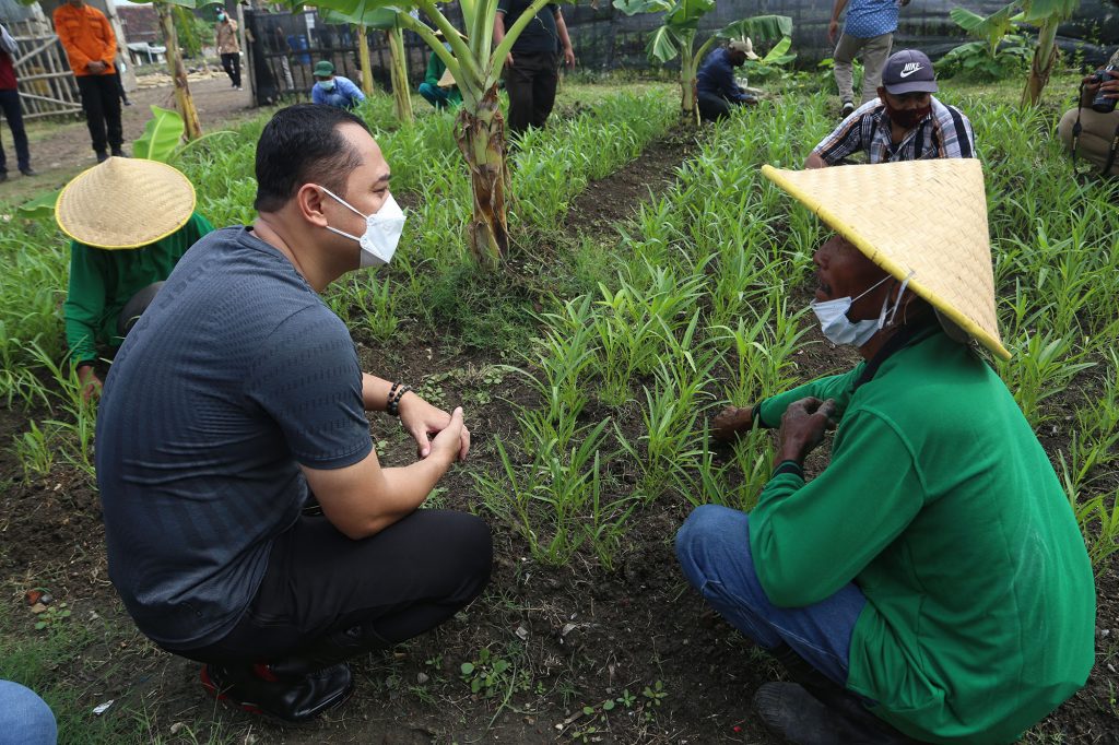 Serap Tenaga Kerja MBR, Pemkot Surabaya Manfaatkan Lahan BTKD Tambak Wedi untuk Urban Farming