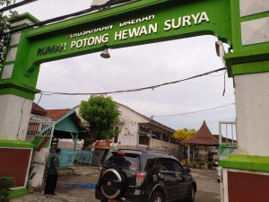 Cegah Wabah PMK, PD RPH Surabaya Cek Dokumen Hewan hingga Penyemprotan Disinfektan Kandang