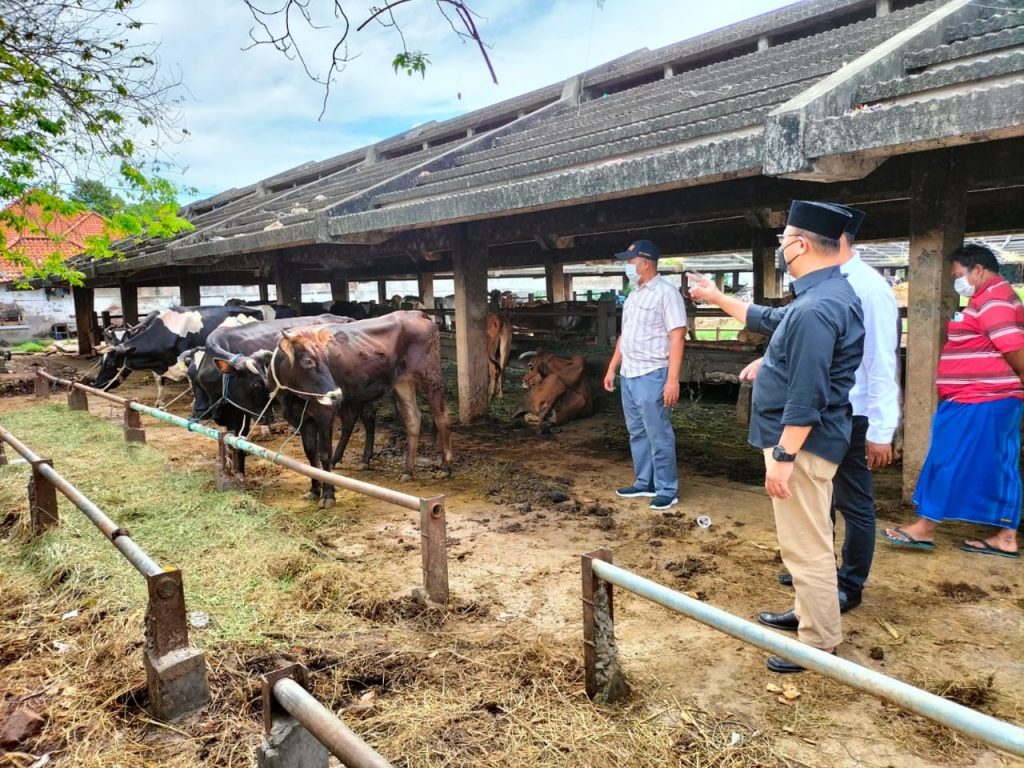 RPH Surabaya Tolak Sementara Masuknya Hewan Ternak dari 4 Daerah Suspect PMK