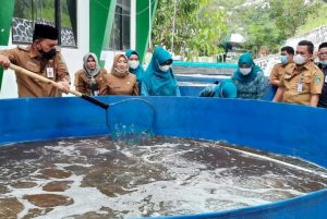 Dinas Perikanan Tanbu Kembangkan Budidaya Bioflog ke Wilayah Pedesaan 