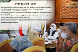 Gubernur Khofifah Lakukan Antisipasi Komprehensif  Penghentian Penularan Penyakit Mulut Dan Kuku) Hewan Ternak di 4 Kabupaten Jatim