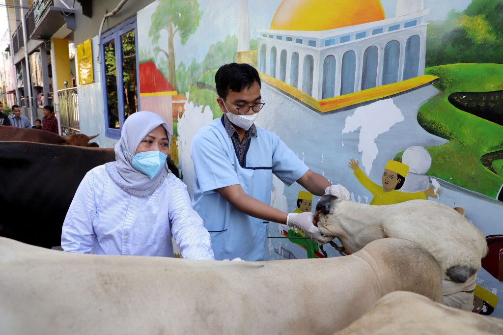 Pemkot Surabaya Terjunkan Tim untuk Lakukan Pengecekan Kesehatan Hewan Kurban Sebelum dan Setelah Disembelih