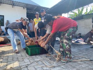 Lagi! Wartawan KOMPAK Bagikan Daging Kurban di Hari Raya Idul Adha 2022