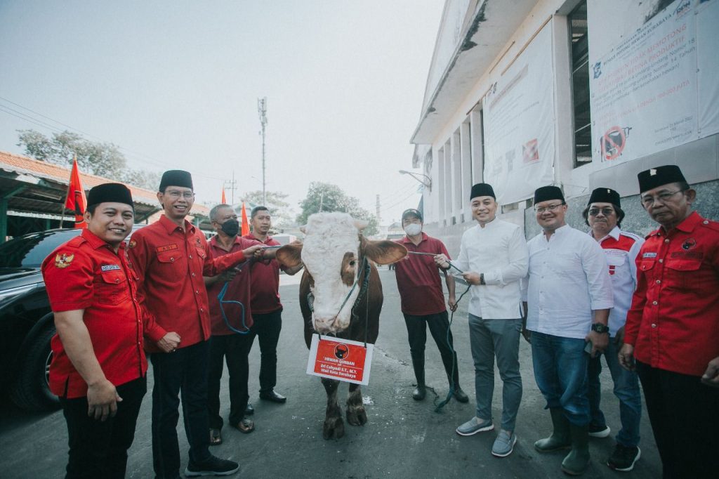 Potong 11 Kurban Sapi saat Idul Adha, PDIP Surabaya: Momen Spiritual dan Gerakkan Gotong Royong