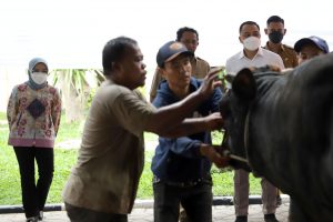 Wali Kota Eri Cahyadi Ingatkan Lagi, Jangan Buang Rumen di Sungai