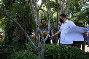 Penataan Taman Tengah Kota, Wali Kota Eri Cahyadi Ingin Libatkan Warga