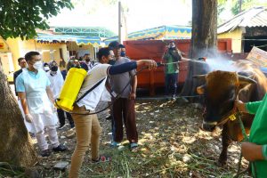 Plt. Gubernur Jatim Pastikan Kualitas Hewan Terjamin Sehat