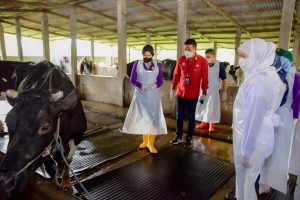 Data Kementan RI Catatkan Jatim Sebagai Provinsi dengan Capaian Vaksinasi PMK Tertinggi Se-Indonesia