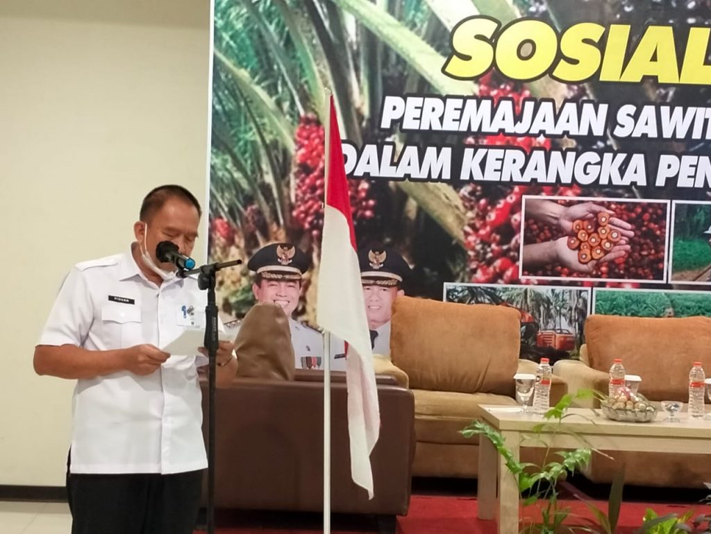 Perbaiki Hasil Produksi Sawit, DKPP Tanbu Sosialisasikan PSR