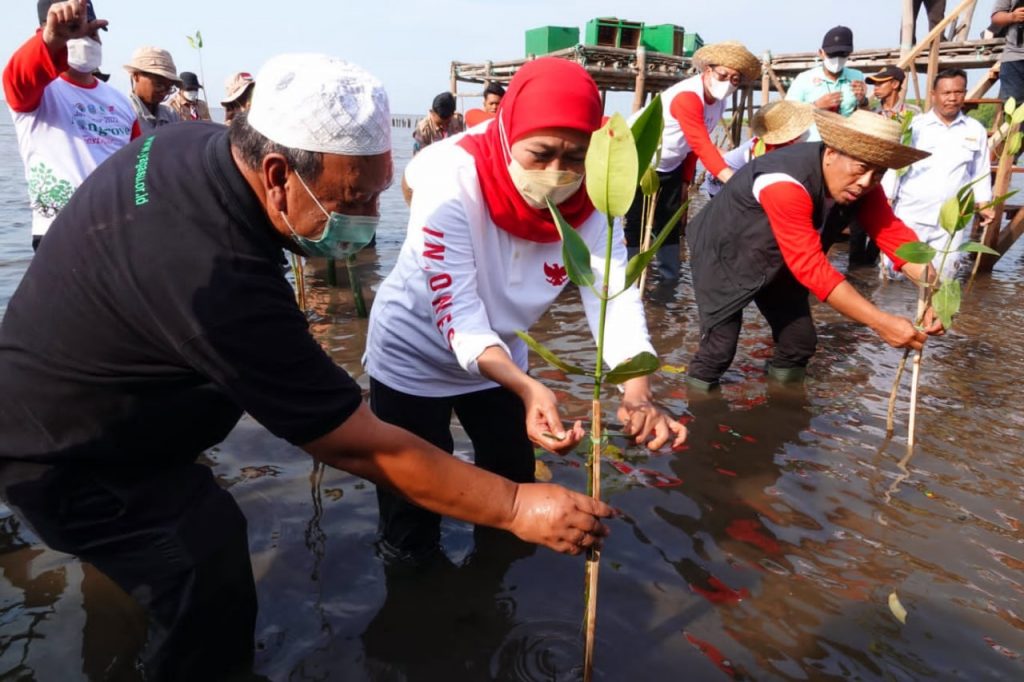 Gubernur Khofifah: Mari Sedekah Oksigen Dengan Menanam Mangrove