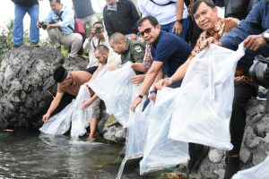PT Semen Padang Melepas 7.000 Ekor Ikan Bilih Hasil Budidaya ke Habitat Aslinya Danau Singkarak