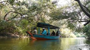 Sungai Mangrove Wonorejo Menyempit, Nelayan Dukung Pemkot Surabaya Lakukan Normalisasi