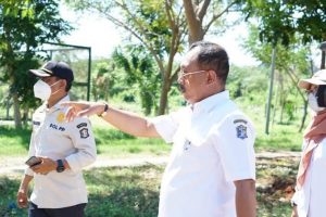 Masuk Bulan September, Wakil Walikota Armuji ajak Warga Abadikan Tabebuya Bermekaran