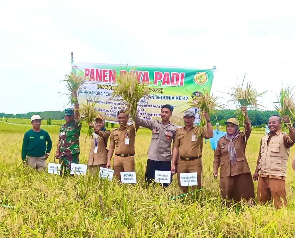 Warga Desa Sumber Baru Nikmati Panen Raya Padi IPDMIP