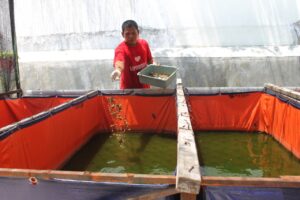 Cara Unik Pemkot Surabaya Kurangi Sampah Sisa Makanan Ratusan Penghuni Liponsos