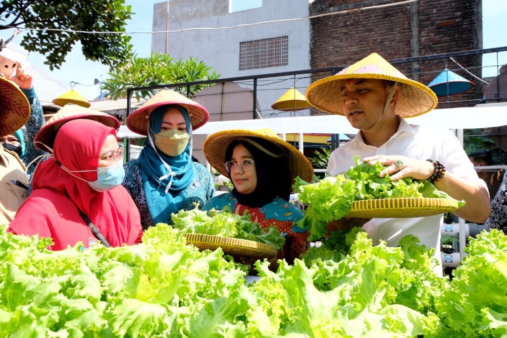 Jaga Ketahanan Pangan, Pemkot Surabaya juga Gerakkan Ekonomi Warga Sekitar Lewat Kampung Sayur