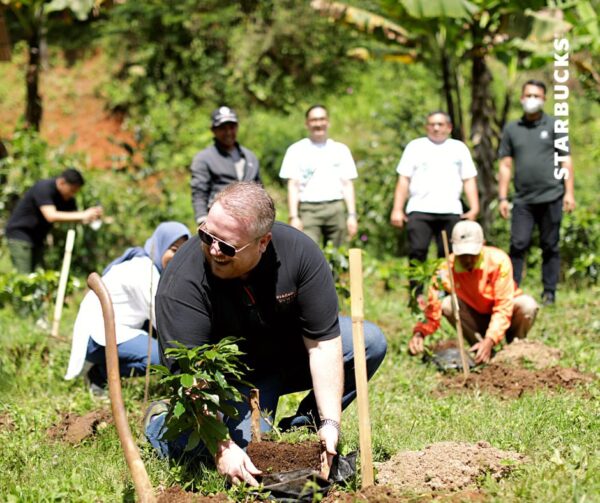 Starbucks Indonesia Donasikan 48 Ribu Bibit Pohon Kopi ke Petani Kopi Jawa Barat