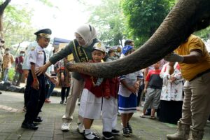 Bangun Karakter Anak Sejak Usia Dini, Pemkot Gelar Karnaval Hari Pahlawan di KBS
