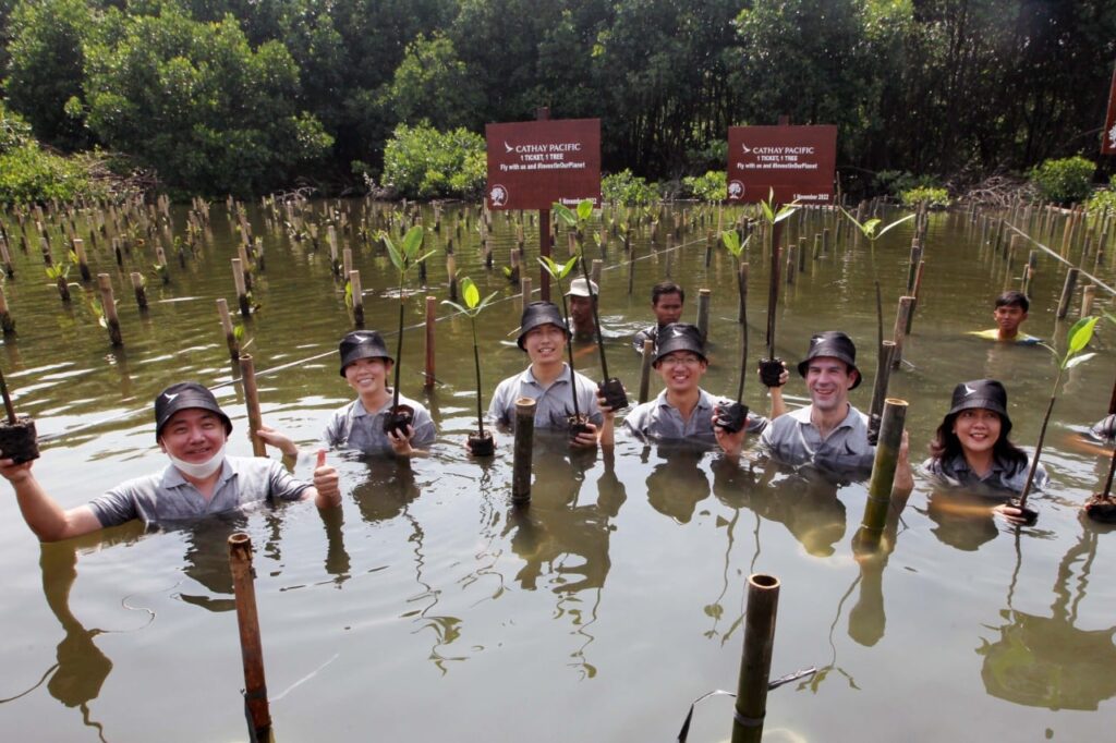Buy One, Get One Tree, Cathay Pacific Lakukan Penanaman Mangrove di Seluruh Asia Tenggara