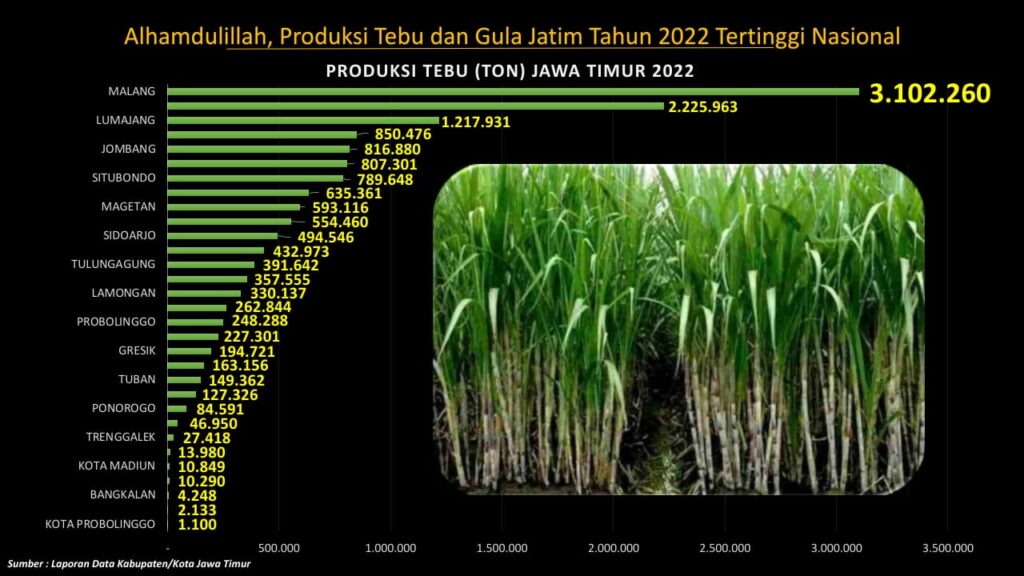 Pertahankan Predikat Barometer Nasional, Produksi Gula dan Tebu Jatim Sumbang 49,55 % Nasional